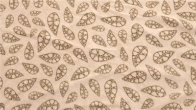 Robens Floor Klondike Grande