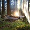 Hennessy Hammock Expedition Zip | Hengekøye
