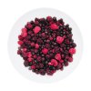 LyoFood | Wild berry mix | Frysetørket mat | 30g