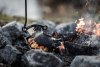 Petromax potetkoker i støpejern