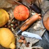 Opinel No 08 foldekniv i karbonstål