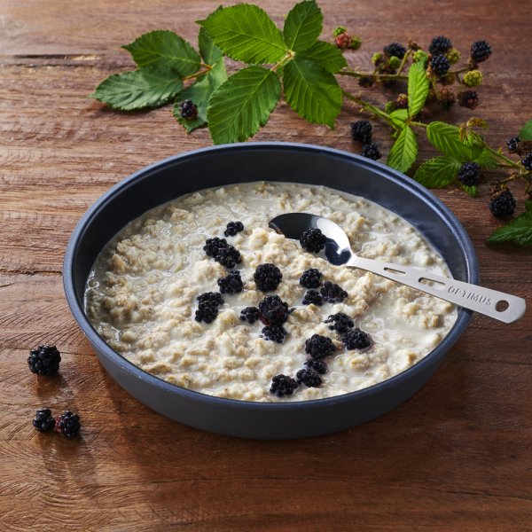 Katadyn Emergency Food | Frysetørket mat | Vegetarisk | Måltidspakke | 13 650 g