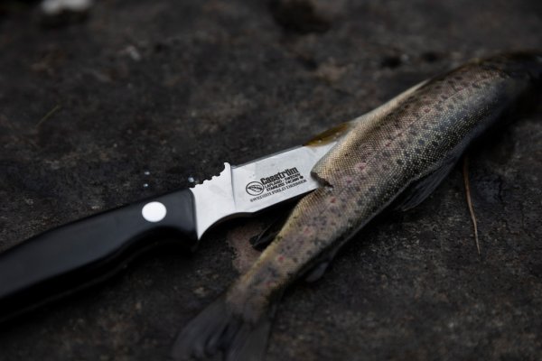 Casström Swedish Field Dresser, stabilisert masurbjørk, Kydex